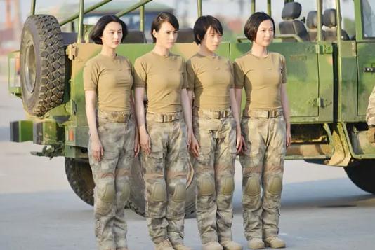 13部特种兵电视剧(精彩十部必看部队电视剧) 13部特种兵电视剧(精彩十部必看部队电视剧)