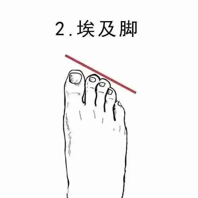 女生的脚,为什么会这么性感