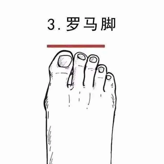 女生的脚,为什么会这么性感