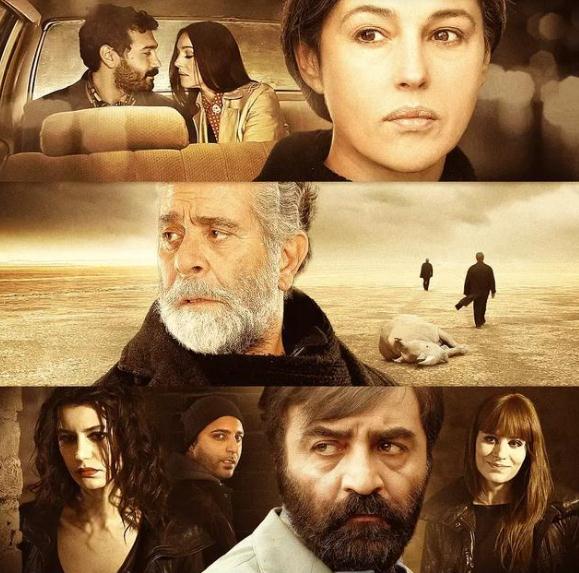 莫妮卡最经典的13部性感影片(综合推荐)