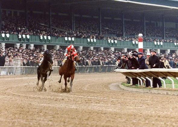 欧美高分电影2022(精选10部) 2022精选10部欧美高分电影