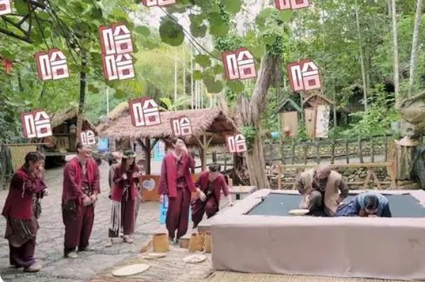 10部笑到肚子疼的综艺 让人笑到崩溃的综艺