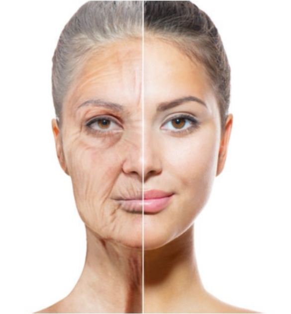 关注女性肌肤老化问题，新生活集团探究肌肤老化原因