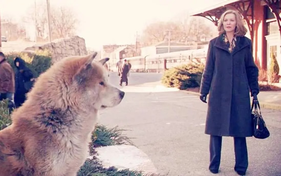 忠犬八公的原型最后怎么了 忠犬八公的故事结局是什么