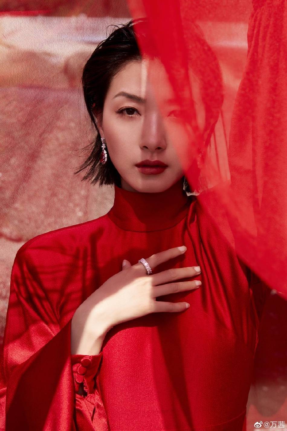 杨颖柳岩关晓彤钟楚曦王楚然红毯争艳!众多美女性感火辣