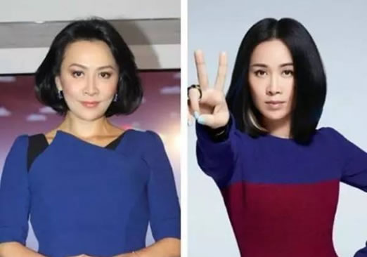 刘嘉玲个人简历资料 刘嘉玲和那英怎么那么像 刘嘉玲个人简历资料 刘嘉玲和那英怎么那么像