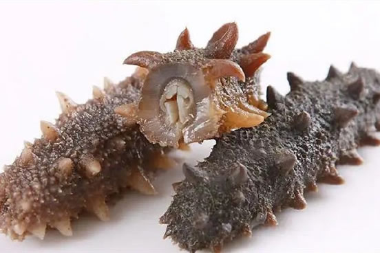 国足吃海参是什么梗 这个梗怎么来的介绍