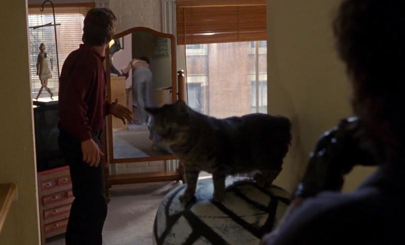 10部经典的美国爱情电影 好看的欧美电影推荐