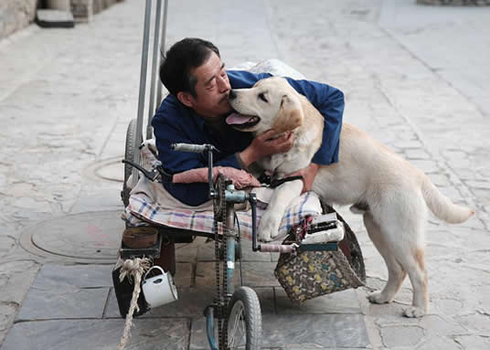 国产感人催泪的24部电视剧推荐