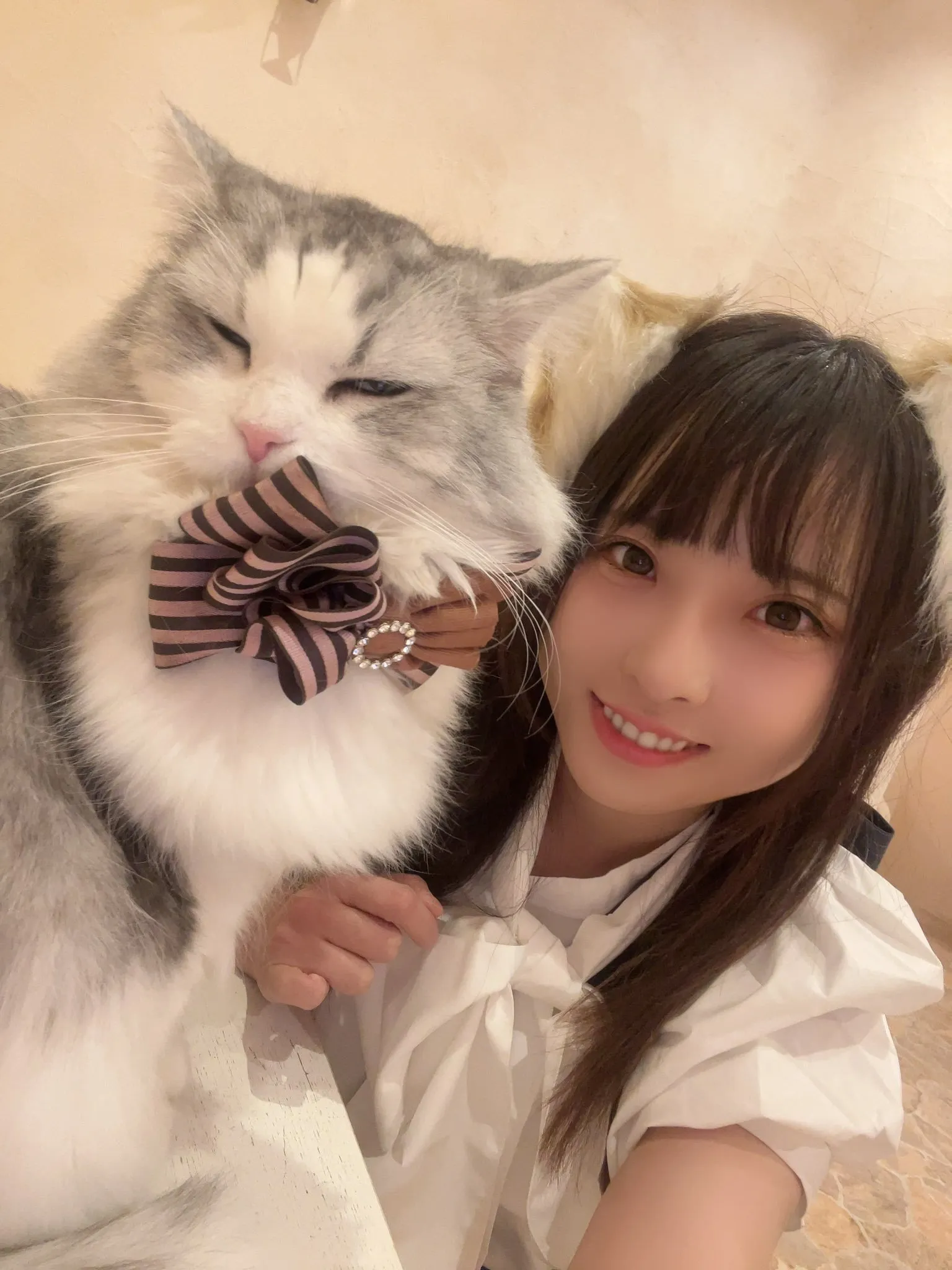 极致又性感的美！日本女星《日下部ほたる》写真细节超清晰！