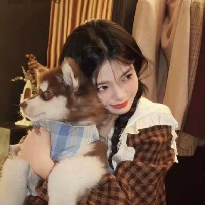 外出历险掉入陷阱 大蛇太难对付我坚持不住了