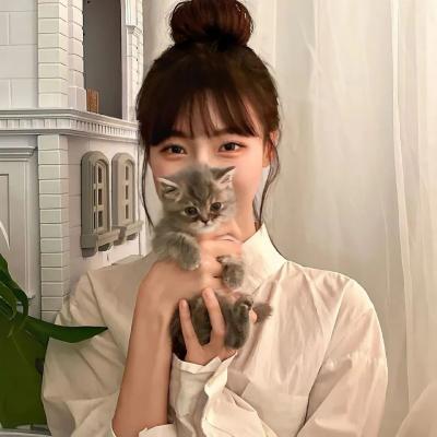 太子妃和皇上在小树上打架 这真是有伤风化