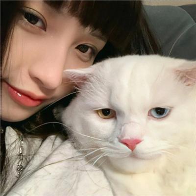 小诗的公交车日记 她的心思真是让人难以捉摸