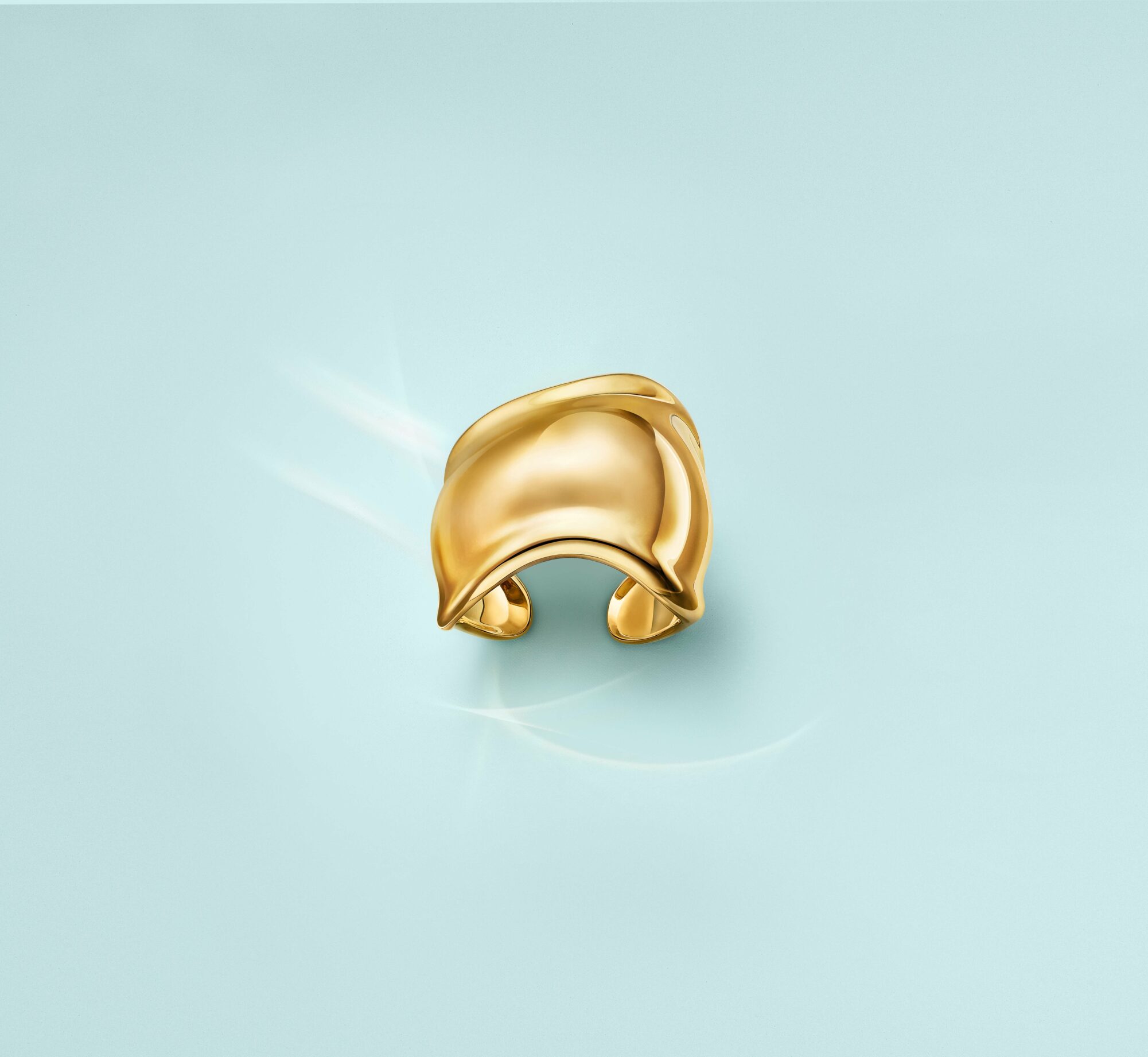 萦绕于指尖、蜿蜒动人的美:Tiffany & Co. 推出两款新戒指纪念设计师Elsa Peretti