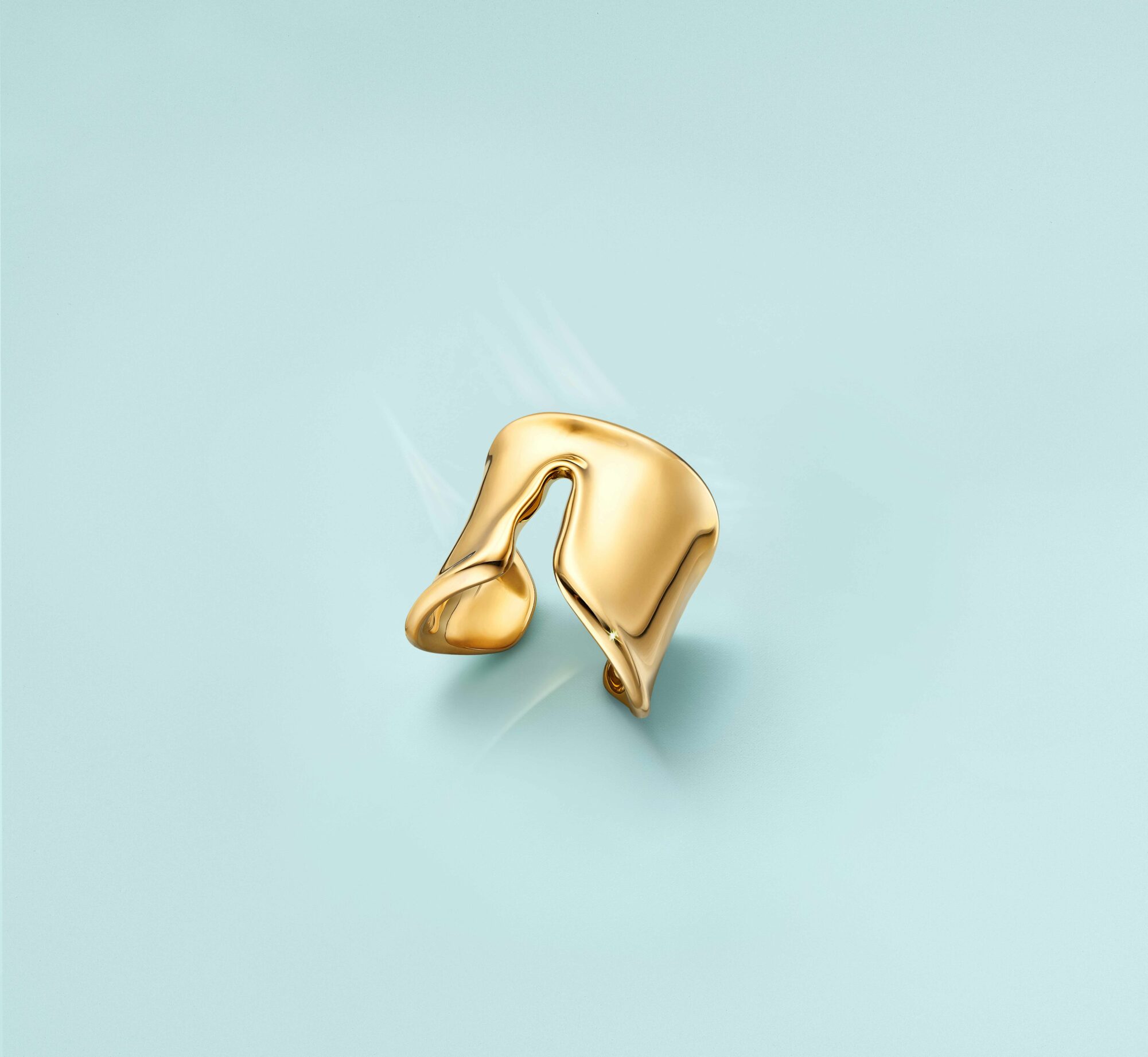 萦绕于指尖、蜿蜒动人的美:Tiffany & Co. 推出两款新戒指纪念设计师Elsa Peretti