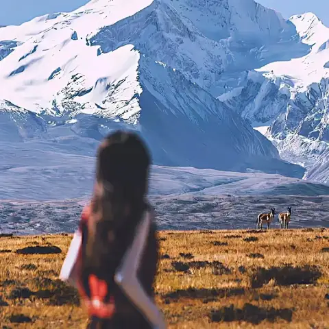 是我拖累了大家、我的问题:常常這这样想的你,从今天开始尝试这5个动作