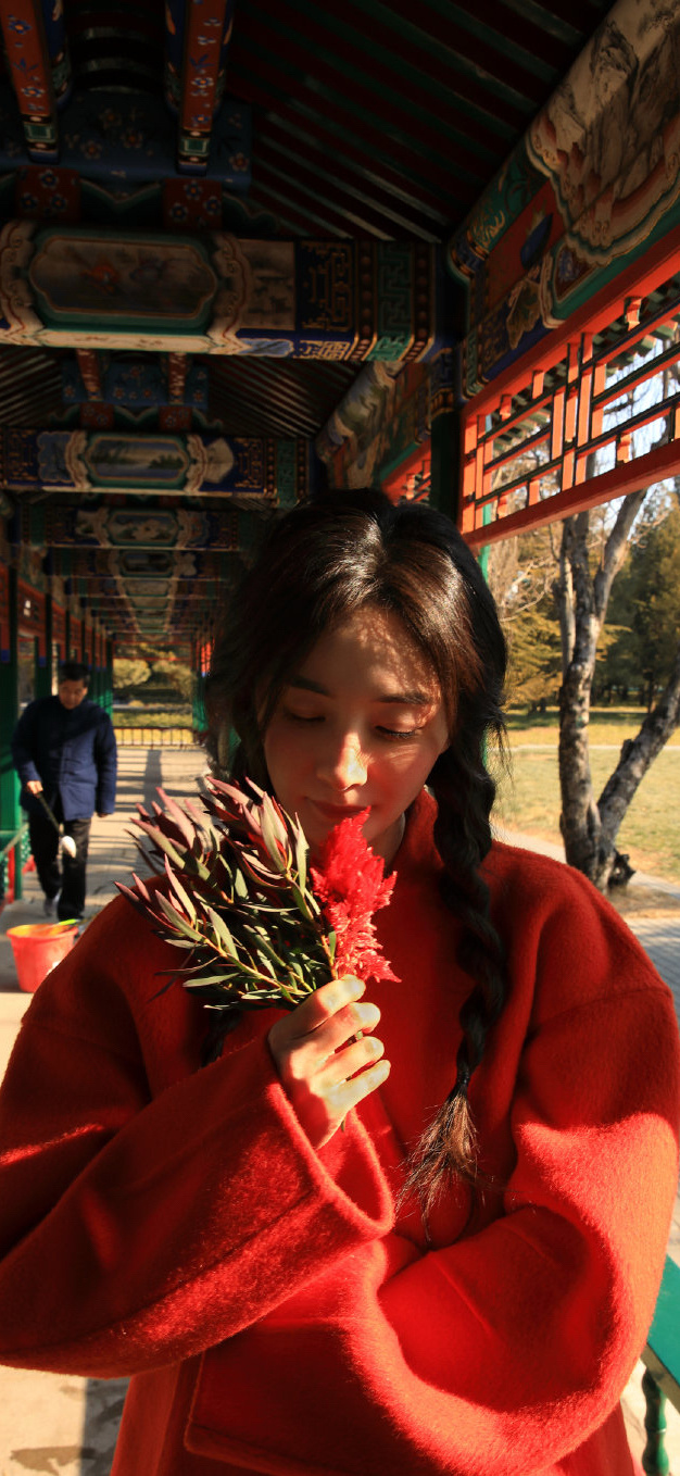 杨幂蛇年新春壁纸，双麻花辫新年京味大片