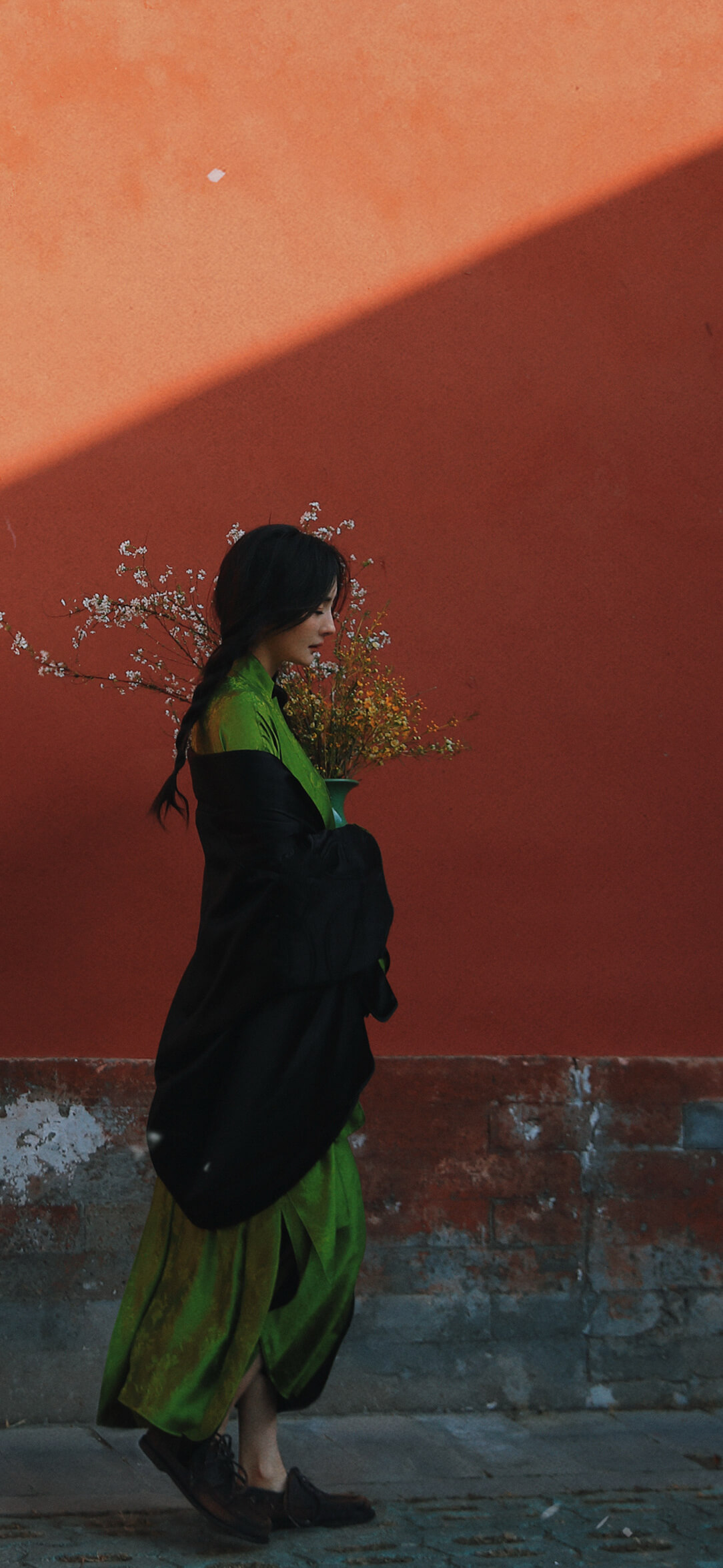 杨幂蛇年新春壁纸，双麻花辫新年京味大片