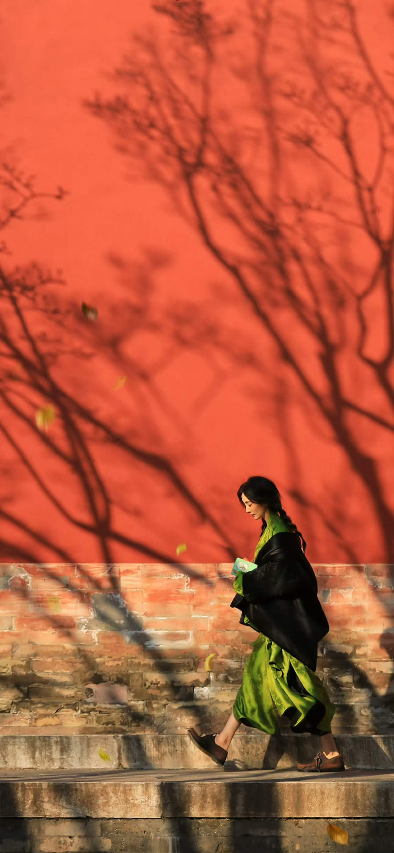 杨幂蛇年新春壁纸，双麻花辫新年京味大片