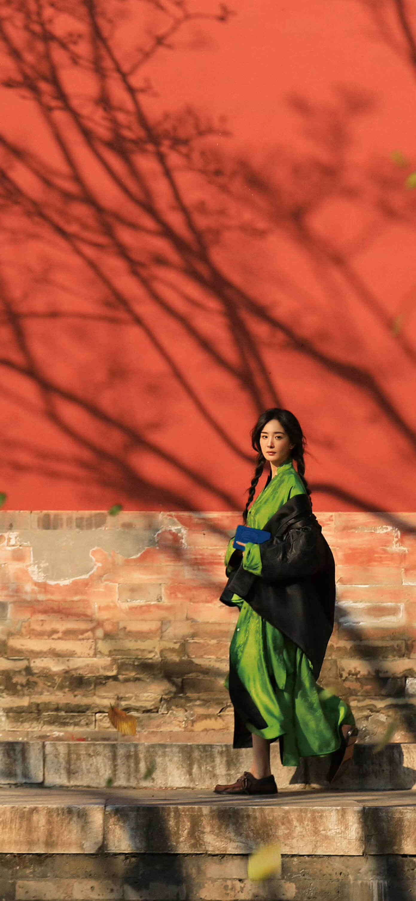 杨幂蛇年新春壁纸，双麻花辫新年京味大片