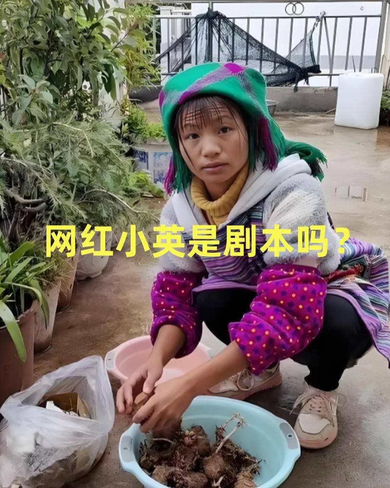苦命农妇竟是4家公司老板！网红小英引爆离婚大战，老公：一天花10万，我和孩子只是道具-1