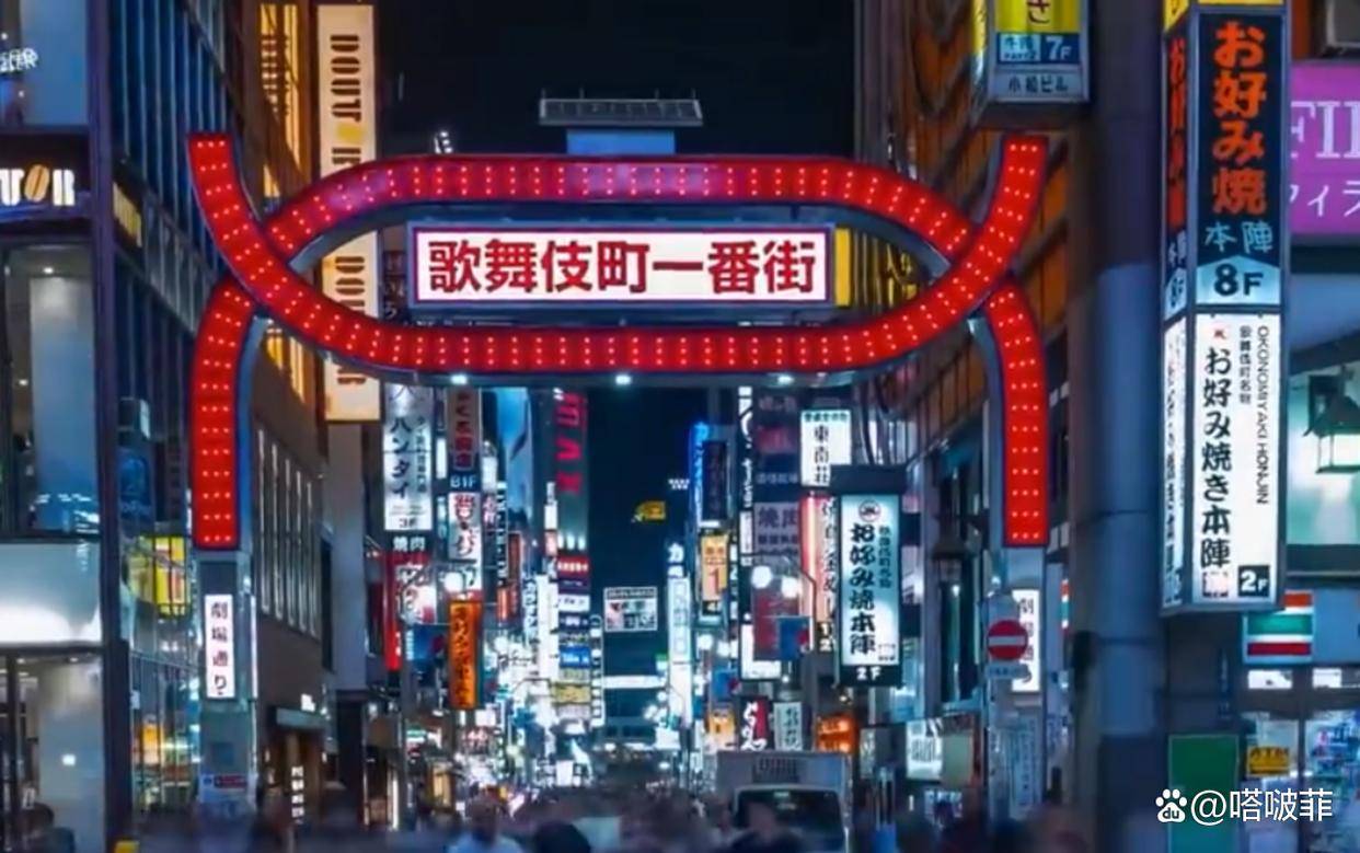 东京性交易场所成游客著名景点，站街女两年收入竟达1.1亿日元-1