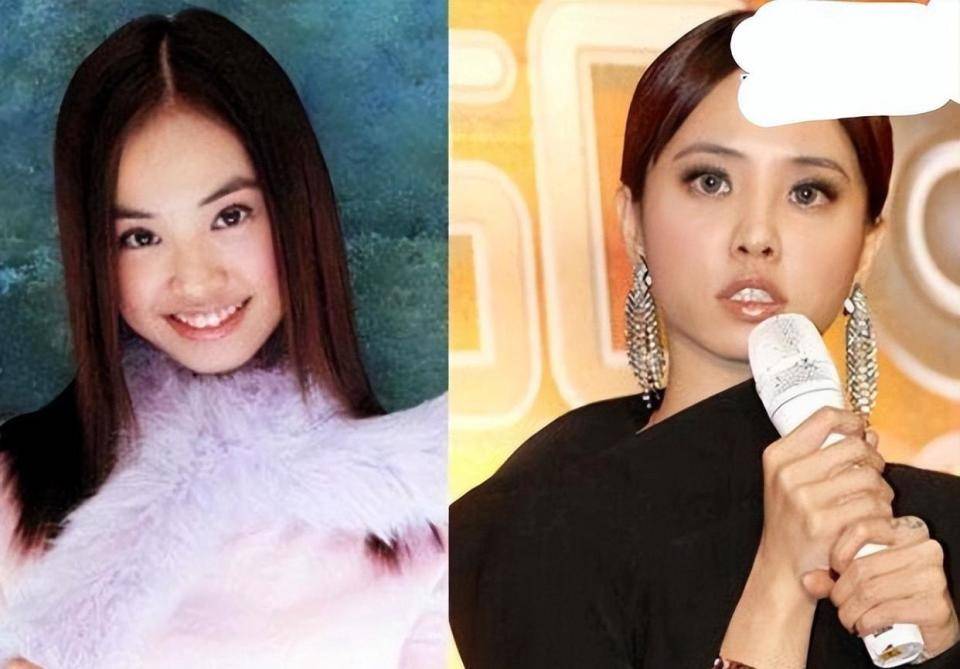 长得普通，整得却“美若天仙”？这些女星整的也太成功了-10