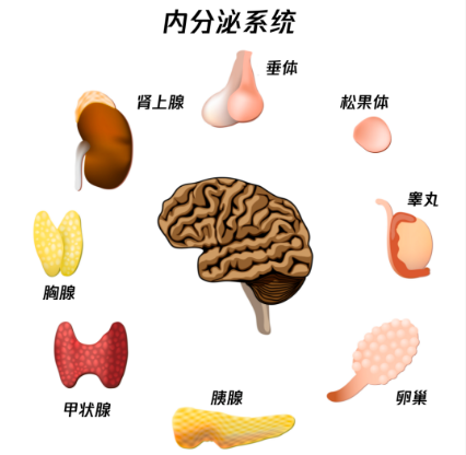 女生内分泌失调的6种表现，你中了几个-1