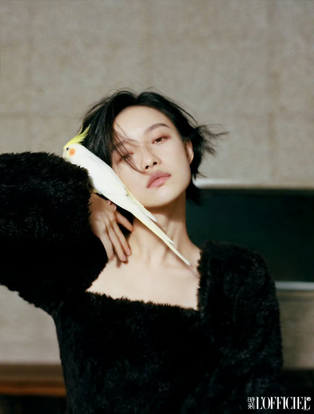 倪妮《时装LOFFICIEL》十二月杂志封面造型