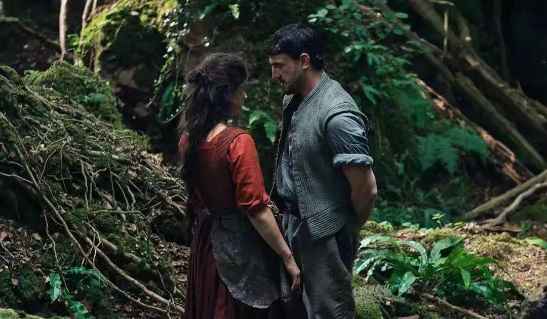 26年金球奖提名名单!阿凡达3动物城2等落选最佳影片-12 26年金球奖提名名单!阿凡达3动物城2等落选最佳影片