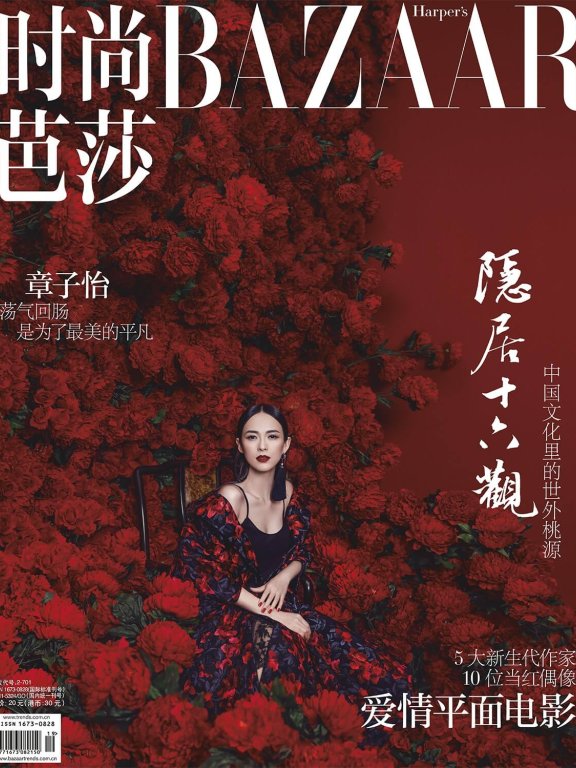 章子怡中国红大片 冷艳迷离展女侠风范