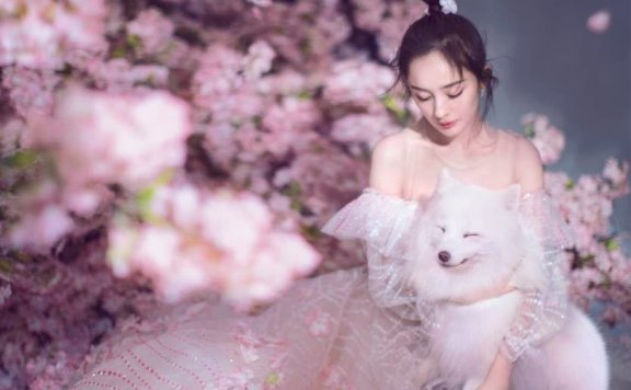杨幂登中国版《Harper’s Bazaar》5月号封面,化身沐浴浪漫繁花中的绝美仙女