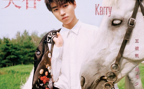 王俊凯登《VogueMe》封面 化身骑士王子