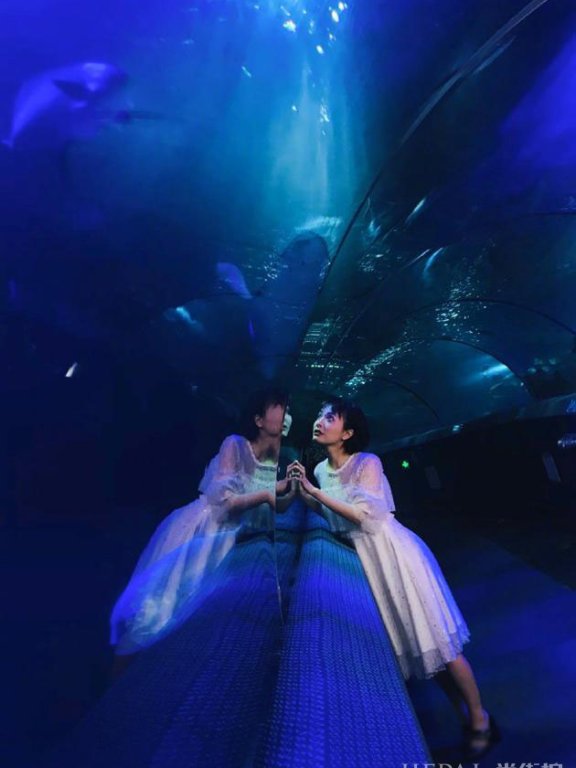 吴昕晒照畅游海洋馆 鼓励大家积极热情工作