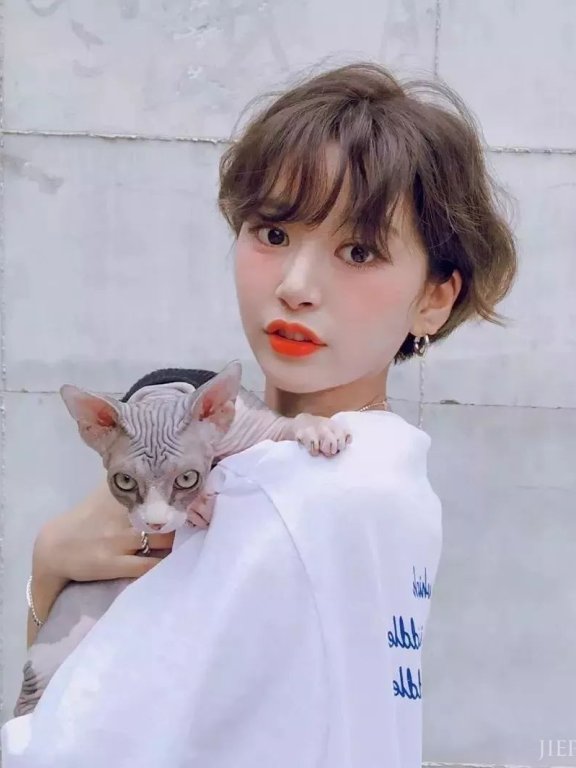 拿什么遮住你,我的发际线