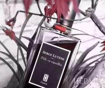 芦丹氏松林少女香调 你不知道的芦丹氏