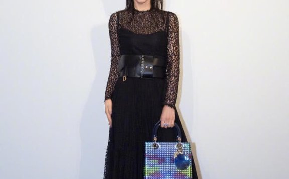 DIOR酒会王子文穿印花裙清新可人,李冰冰拎限量版手袋展气场依旧