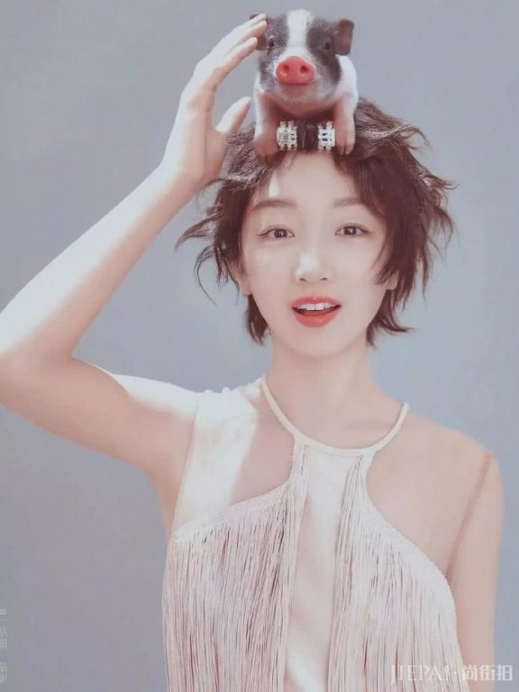 啥是佩奇?