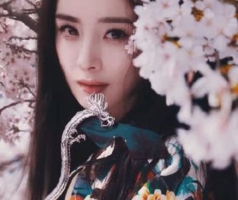 杨幂穿和服搭配樱花背景比花还美,淡妆太唯美