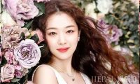 泰迪卷怎么打理 自然复古好打理