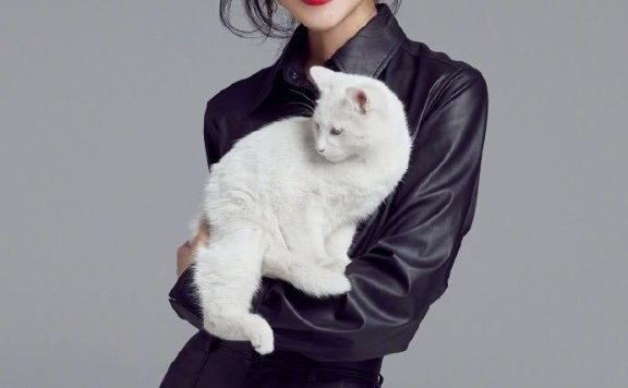 韩雪怀抱猫咪凹造型的动作,美得像一首歌