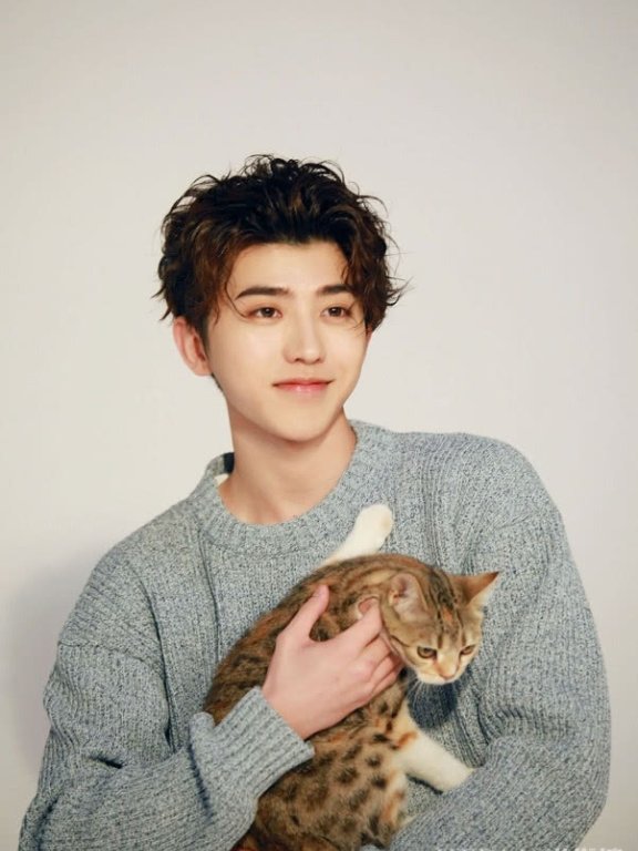 蔡徐坤近期接受采访大变脸:下巴变尖脸变窄,翻版刘梓晨?