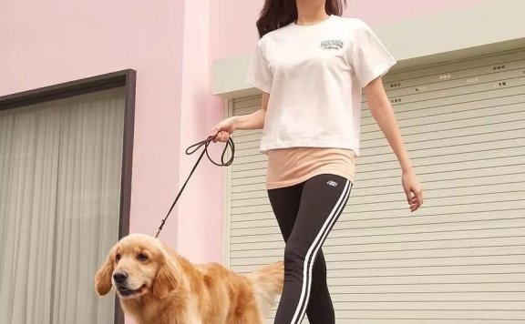 她打败金喜善和朴信惠,成为李敏镐退伍后新作的绝对女一?