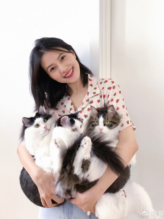 高圆圆生完宝宝后状态真好!穿印花衬衫搭配牛仔裤美回20岁