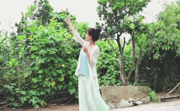 被央视点名夸赞的李子柒把生活过成了诗,穿中式汉服成世界女神