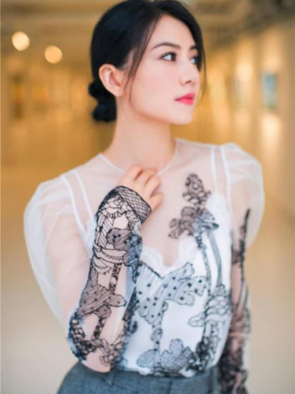 高圆圆薄纱刺绣衫配灰色阔腿裤,扎低盘发气质无敌了