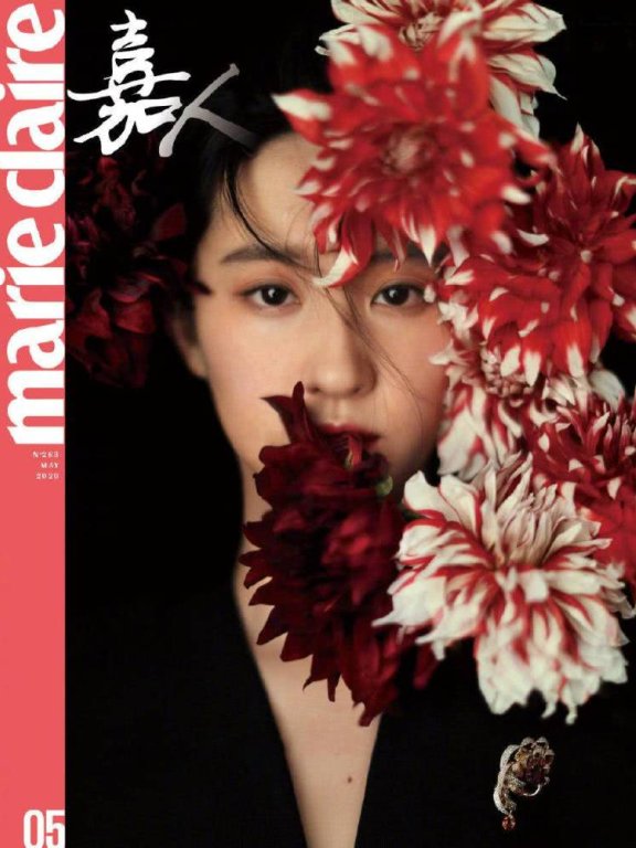 刘亦菲穿印花长袍拍古风大片,佩戴上百万首饰高调又奢华