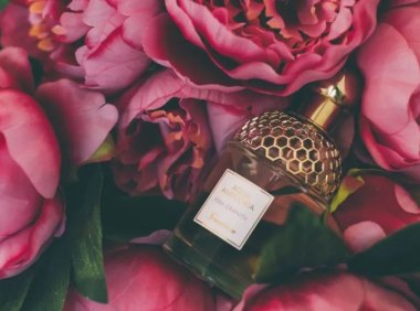 香水圈终极困惑:大牌太贵,国产不香?