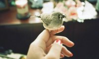 双鱼女想复合的暗示 傻傻的等你回头