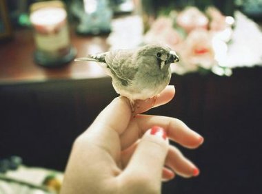 双鱼女想复合的暗示 傻傻的等你回头